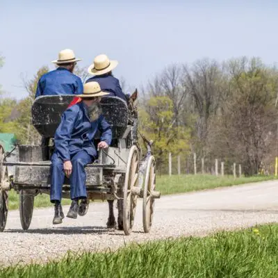 AMISH COOK: A new addition to the family