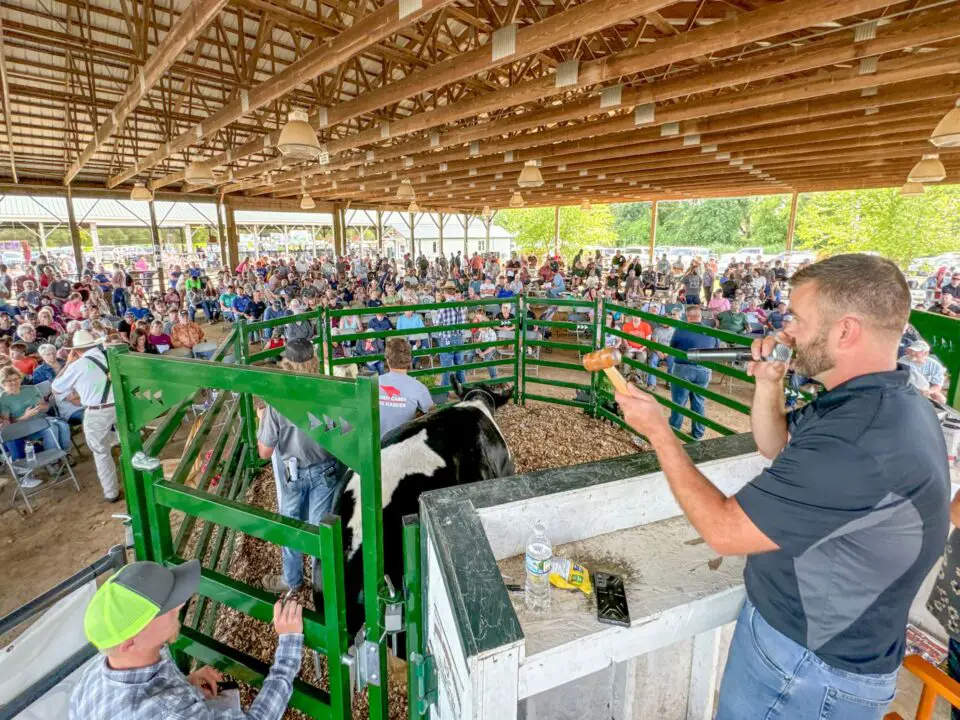 MONTCALM COUNTY FAIR: 90th annual Montcalm County Fair returns with a focus on traditional events