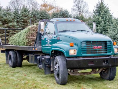 Korson’s Christmas trees make their way to D.C.