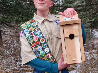 From bluebirds to an eagle